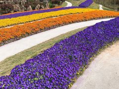 -南通洲际绿博园