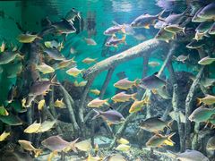 -常州海昌海洋探索馆