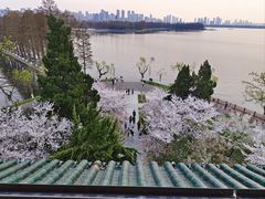 -东湖听涛景区