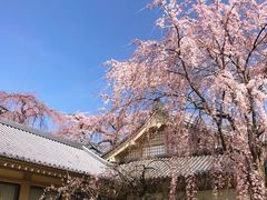 -醍醐寺