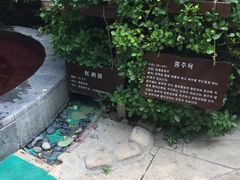 -仁爱团泊湖温泉中心