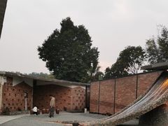 -凤阁楼果木烧鹅(鹤山陈山店)