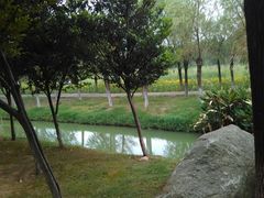 -艾溪湖湿地公园