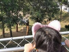 景点-西霞口神雕山野生动物世界