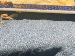 -肉串汪(望京店)