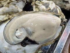 -蚝得喜海鲜(东城店)