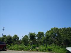 -塘栖枇杷特色园区