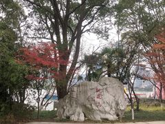 -金鸡湖桃花岛