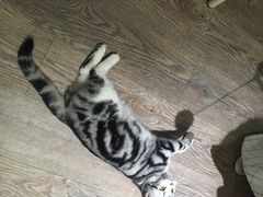 -小时光咖啡馆(开森度假森林店)