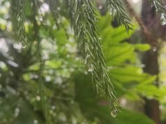 -陕西民俗大观园