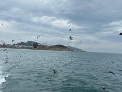 -海驴岛(荣成市)
