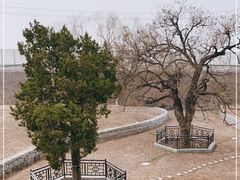 -马家湾湿地公园