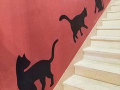 -猫爷宠物生活馆·撸猫馆