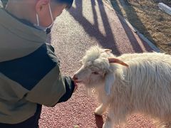 -水上乐园·欢乐世界