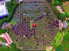 -五缘湾湿地公园