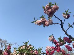 -海棠花溪(元大都城垣遗址公园)