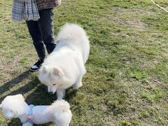 -洪湖家庭农场·团建·露营·会议