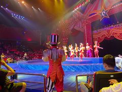 -珠海横琴长隆《卡卡虎奇遇记》