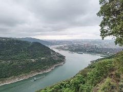 -铁山坪森林公园