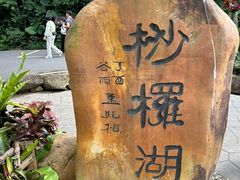 -深圳仙湖植物园