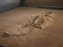 -世界恐龙谷景区