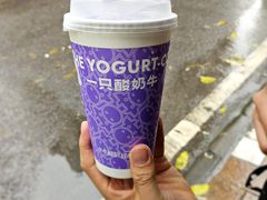 -一只酸奶牛(八一路店)