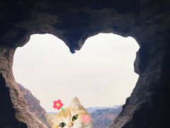 -爱情山风景区