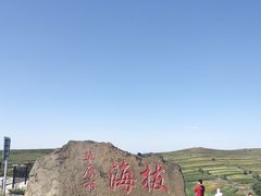 -张北坝上草原