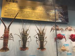 -天津自然博物馆