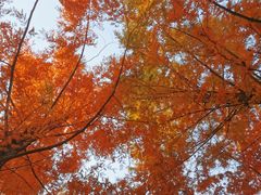 -唐城墙遗址公园