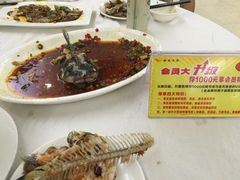 -金龙渔港(双楠店)