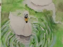 -阿妮亚少儿美术书法(望京店)