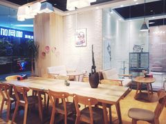 大堂-藏猫猫咖啡主题馆(中央大道店)