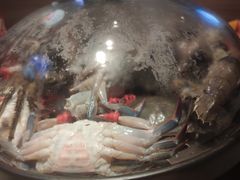 -乔哥铭洋海鲜自助(皇城恒隆广场店)