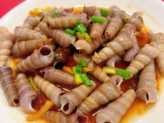 钉螺-红灯笼龙凤饭店(宁波老字号店)