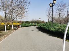 -永定河休闲森林公园