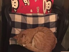 -时光转角咖啡馆(西康路店)