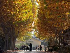 -石家庄市动物园