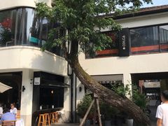 -Madeleine玛德琳(永平里店)