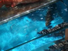 -福娣·金沙银贝海鲜火锅