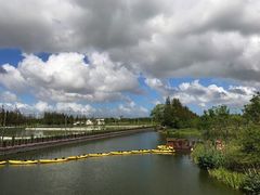 -上海长兴岛郊野公园