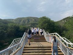 -大青山野生动物园