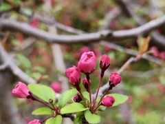 -外高桥保税区南(地铁站)