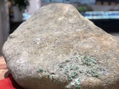 -游龙石文化科普馆