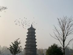 -黄海国家森林公园