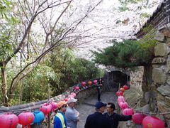 -海东龙宫寺