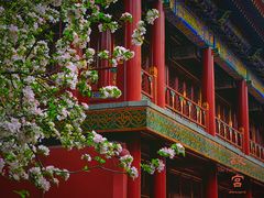 -故宫博物院(故宫)