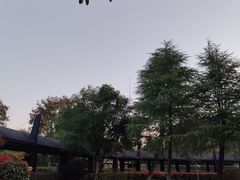 -三江森林温泉度假区