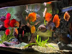 -上海海洋水族馆