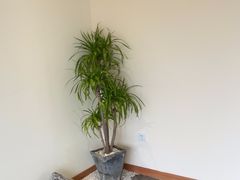 -小茶闲舍·观景商务茶馆(广州塔店)